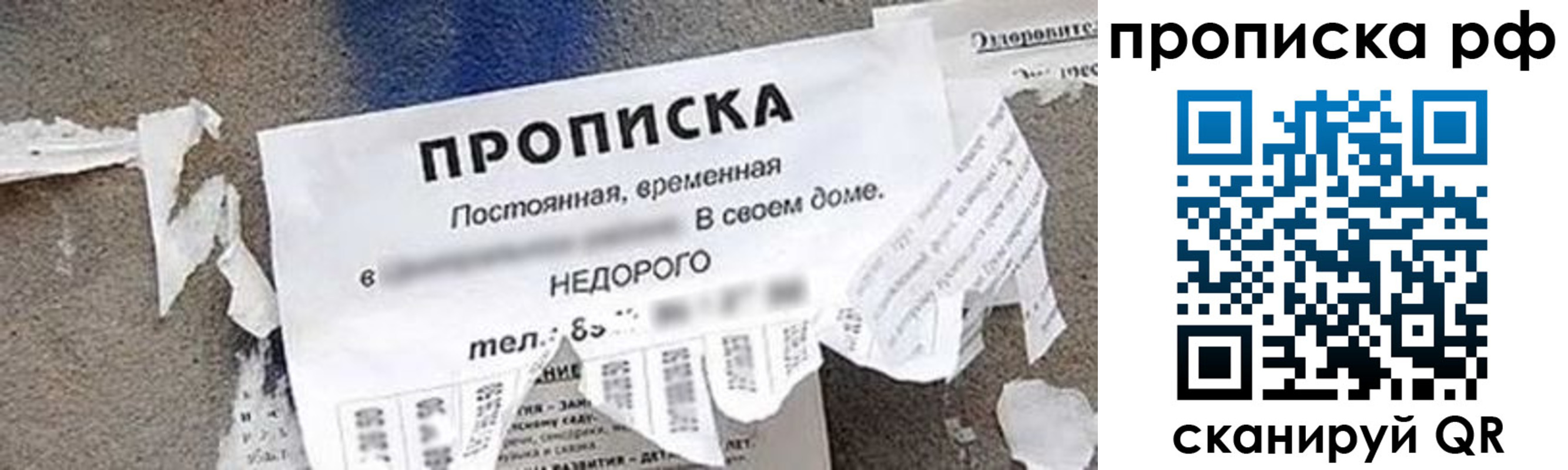 где прописаться в Мытищах