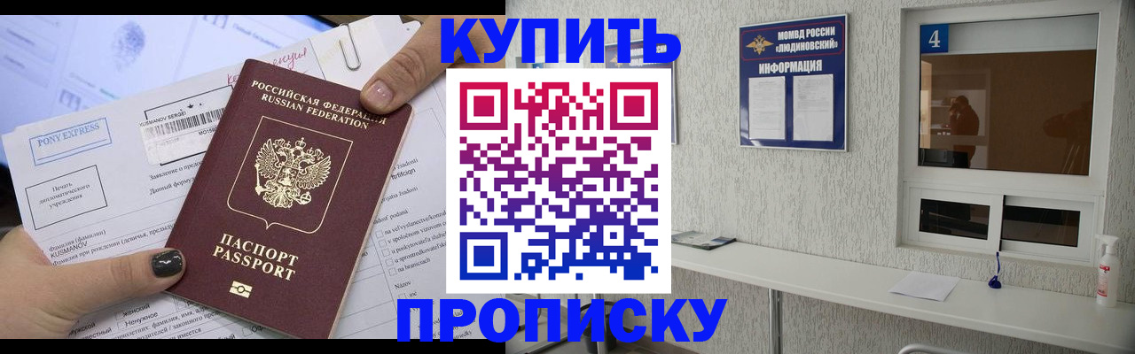 прописка в квартире в Мытищах